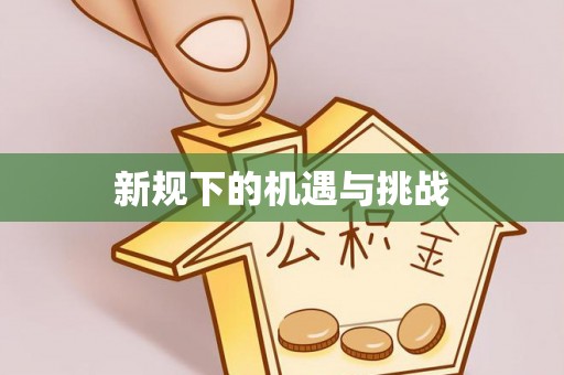 永吉新规下的机遇与挑战