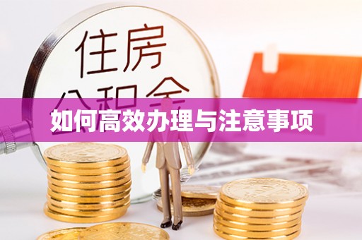 永吉如何高效办理与注意事项