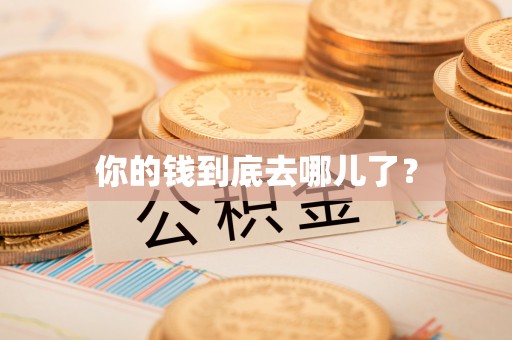 永吉你的钱到底去哪儿了？