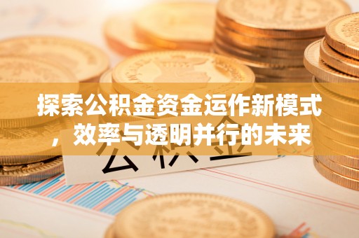 永吉探索公积金资金运作新模式，效率与透明并行的未来