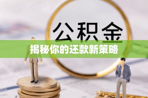 永吉揭秘你的还款新策略