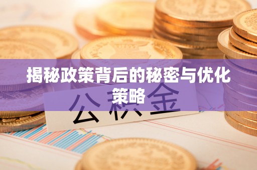 永吉揭秘政策背后的秘密与优化策略