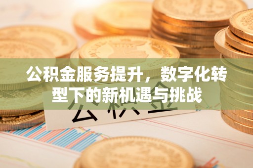 永吉公积金服务提升，数字化转型下的新机遇与挑战