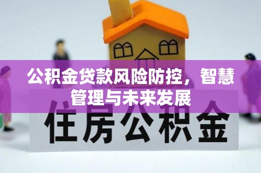 永吉公积金贷款风险防控，智慧管理与未来发展