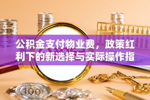 永吉公积金支付物业费，政策红利下的新选择与实际操作指南