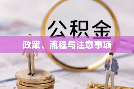 永吉政策、流程与注意事项