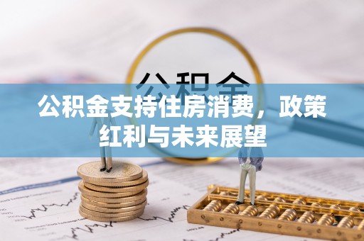永吉公积金支持住房消费，政策红利与未来展望