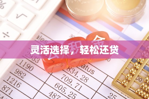 永吉灵活选择，轻松还贷
