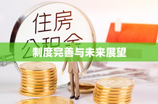 永吉制度完善与未来展望