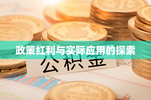 永吉政策红利与实际应用的探索