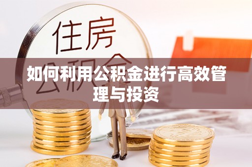 永吉如何利用公积金进行高效管理与投资