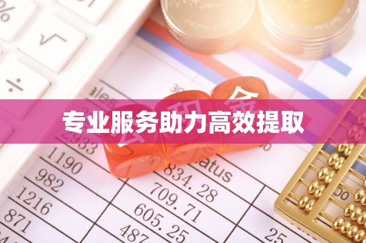永吉专业服务助力高效提取
