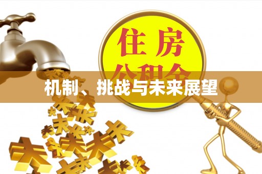 永吉机制、挑战与未来展望