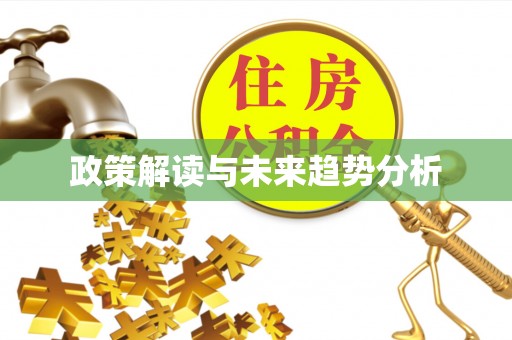 永吉政策解读与未来趋势分析