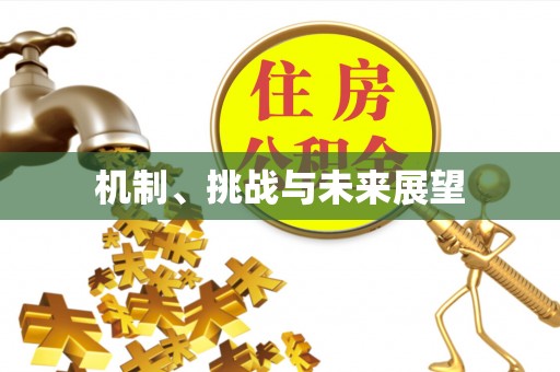 永吉机制、挑战与未来展望